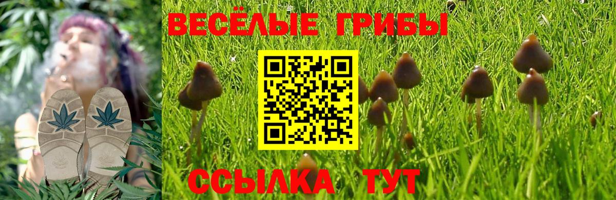 Алушта  Галлюциногенные грибы мухоморы  Вход с VPN  Галлюциногенные грибы ЛСД 